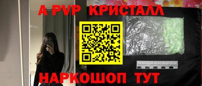 Альфа ПВП Кингисепп