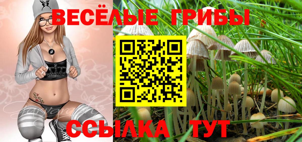 Псилоцибиновые грибы прущие грибы Королёв