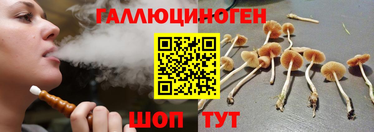 Псилоцибиновые грибы Psilocybine cubensis  Галлюциногенные грибы мухоморы  Королёв  Вход с VPN 